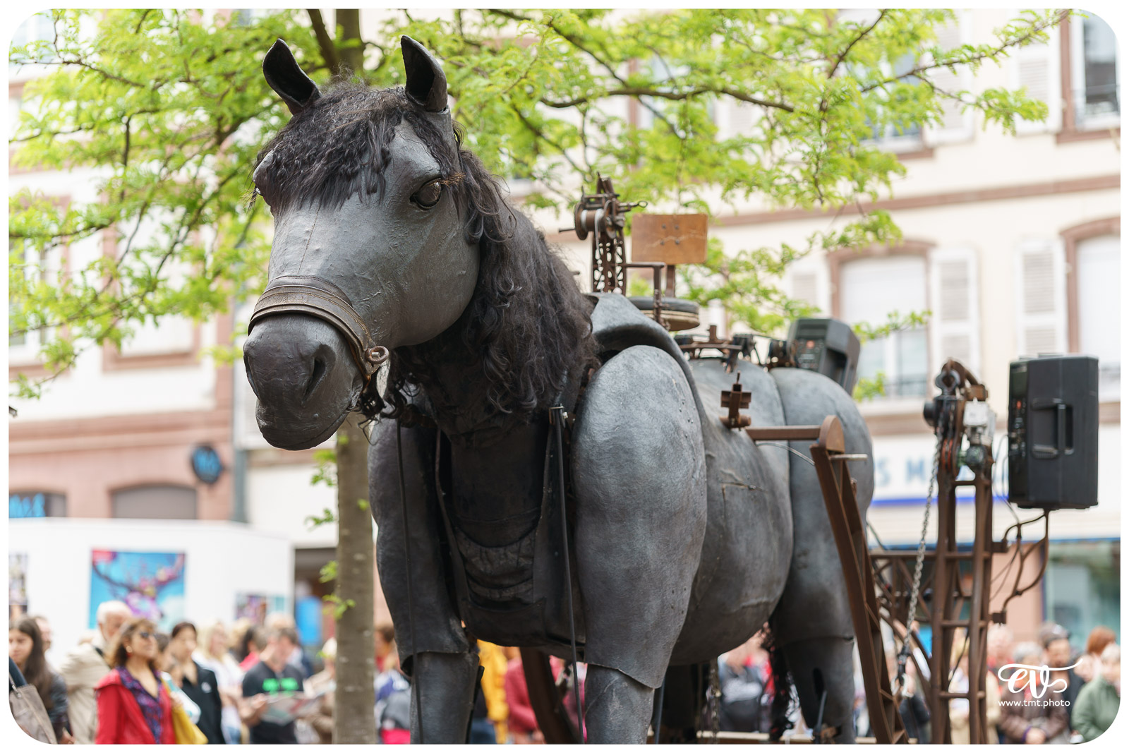 CHEVÂL (CIE PARIS BÉNARÈS)